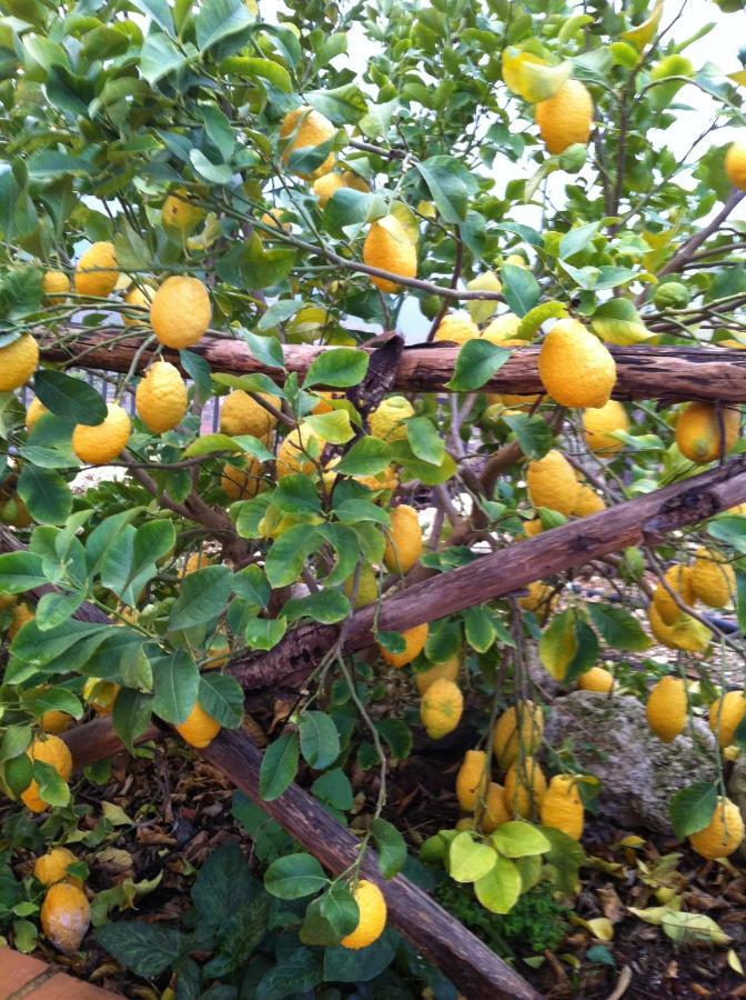 La Locanda Dei Fiori Bompensiere Экстерьер фото